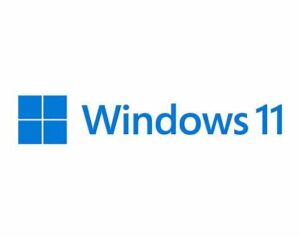 Windows 11