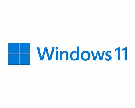 Windows 11